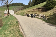 Schwarzwald_April_2019_2